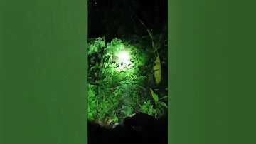 Lumintop Gt nano. max 450 lumen