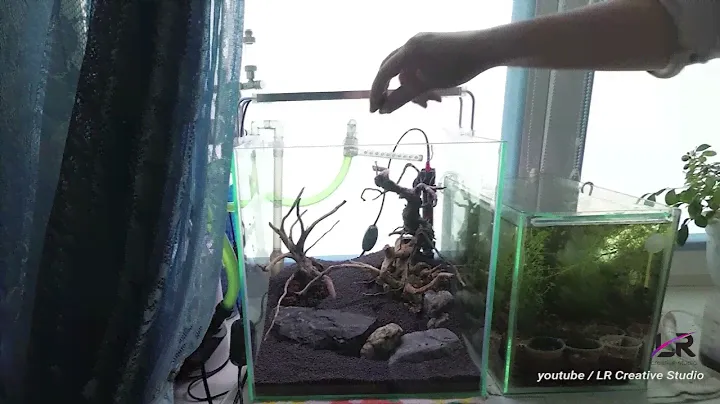 Запуск 30 литрового нано-кубика. Aquascape nano cube 30 L.