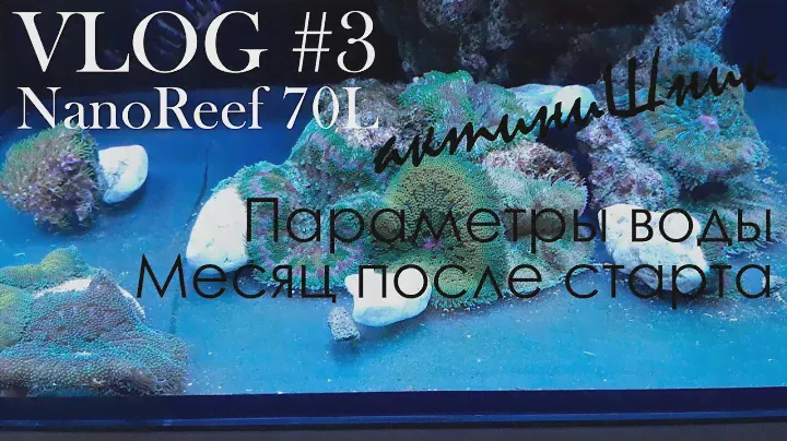 NanoReef 70L. VLOG#3. Параметры воды.  Месяц после старта.