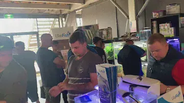 Aquael Duo Nano Marine tank display