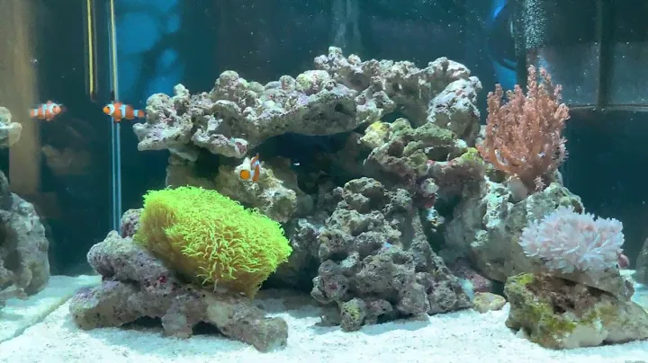 Морской аквариум Dennerle 55 L. Оборудование.