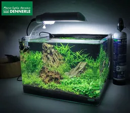 Аквариум Dennerle Nano Scaper's Tank Панорамный нано-аквариум для акваскейпинга 55 л