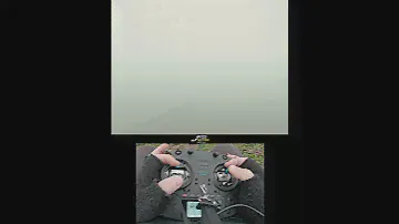 Disarm in the Fog