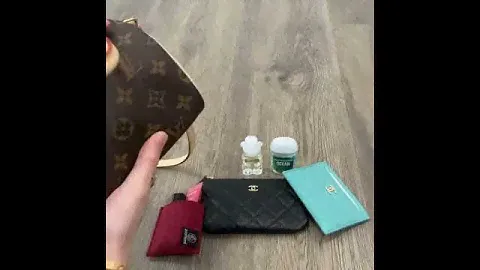 What Fits In LOUIS VUITTON NANO SPEEDY & How To Take Care of It With ZOOMONI Organizer
