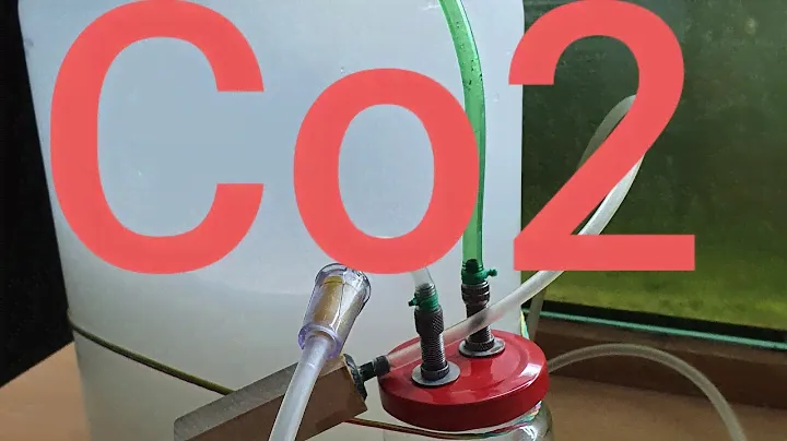 Аквариум Co2 Бюджетный вариант