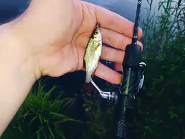 Black Adder Nano Carbon (двухчастник), 180 см, 0.5-1.5г, Solid, Slow