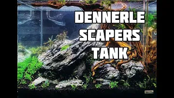 Dennerle Scapers Tank - Set up and Planting
