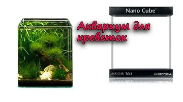 Dennerle nano cube 30. Распаковка. Обзор.