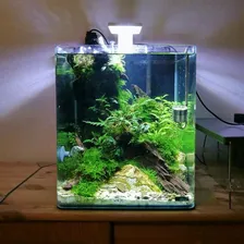Dennerle Nano Cube Нано-аквариум 30 литров