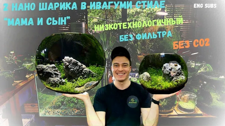 ДВА НАНО ШАРИКА В СТИЛЕ ИВАГУМИ "МАМА И СЫН" | TWO NANO BOWLS IN IWAGUMI STYLE "MOM AND SON"