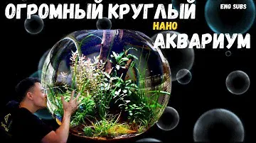 КРУГЛЫЙ НАНО АКВАРИУМ БЕЗ СО2 И ФИЛЬТРА | NANO BOWL AQUARIUM WITHOUT CO2 AND FILTER | TUTORIAL